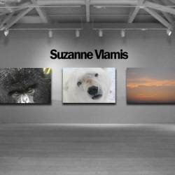 suzanne-online-store