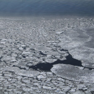 Arctic Polar Bears jpeg.3