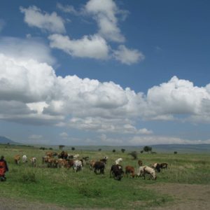 Maasai Tribes Suzanne Vlamis Photography