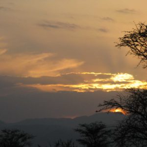 Maasai Mara Africa - Suzanne Vlamis Photography