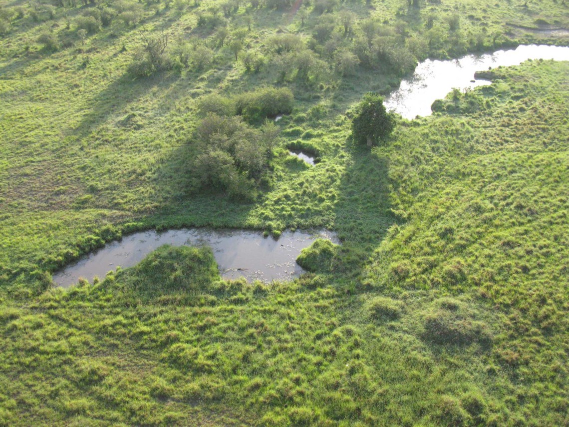 Kenya SD 3 Mara Aerials-Masai-Wildlife-NYC 3-1-5-2008 009